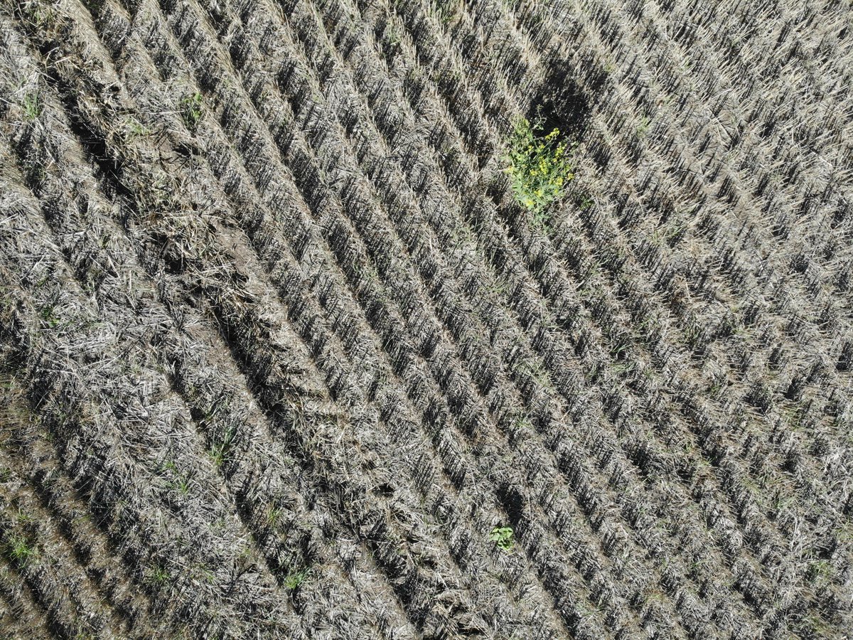 Milar Agro Tech tweet media