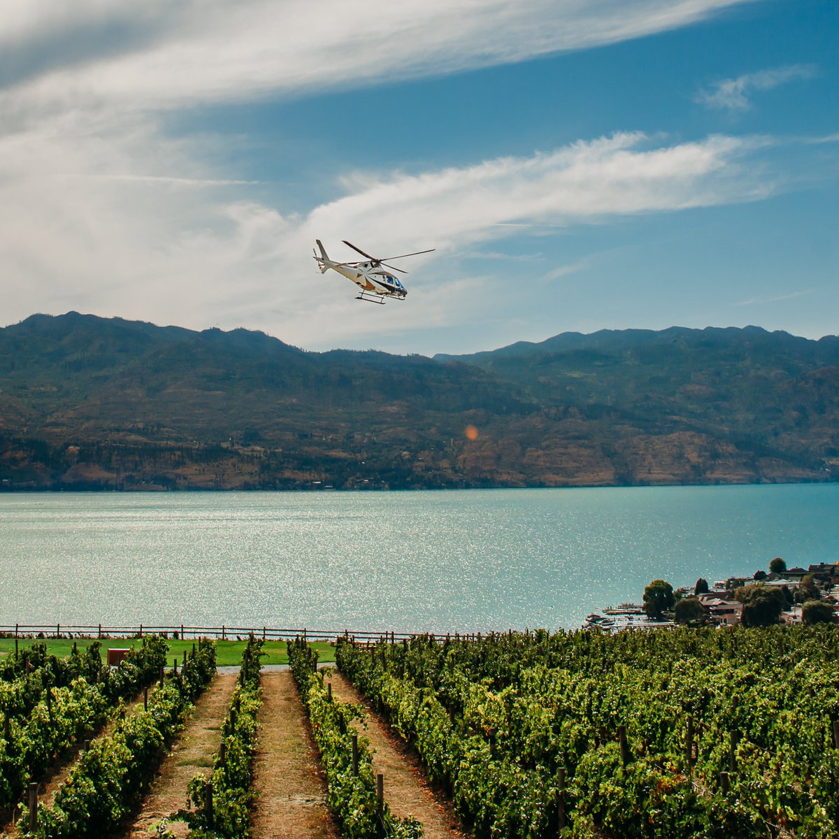 predatorridge's tweet photo. 🍷🌟🌅 𝗚𝗜𝗩𝗘𝗔𝗪𝗔𝗬 𝗔𝗟𝗘𝗥𝗧 🌅🌟🍷
 
Prizing Valued at over $12,000!

Click the link to enter: https://t.co/aAYc0VyhX7 https://t.co/B4vhgpfTiQ
