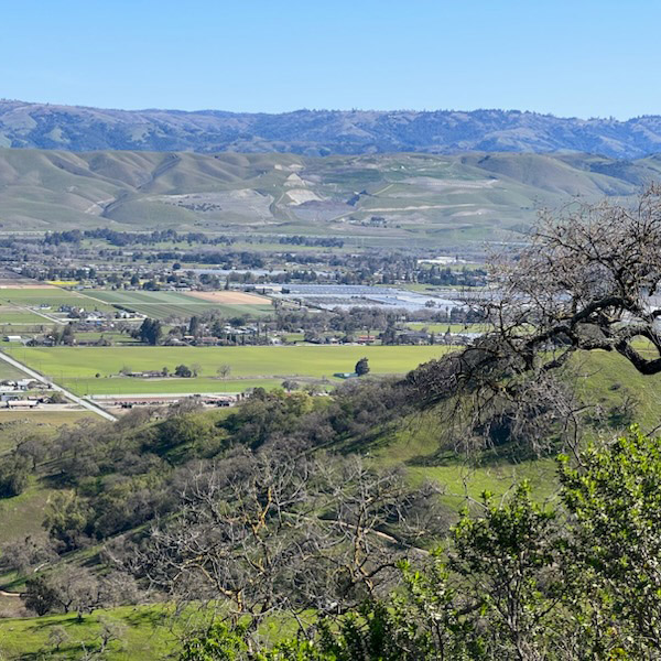 Thanks to the Y members that joined us Sat, Feb. 18, for this month's Hike Club – hiking the 4-mile loop at Coyote Valley Preserve with green hills and clear skies. The next hike is Sat, March 18, at Windy Hill Preserve in Portola Valley. Learn more: ymcasv.org