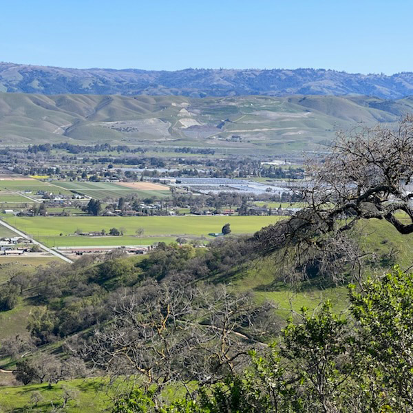 Thanks to the Y members that joined us Sat, Feb. 18, for this month's Hike Club – hiking the 4-mile loop at Coyote Valley Preserve with green hills and clear skies. 

The next hike is Sat, March 18, at Windy Hill Preserve in Portola Valley. Learn more: ymcasv.org