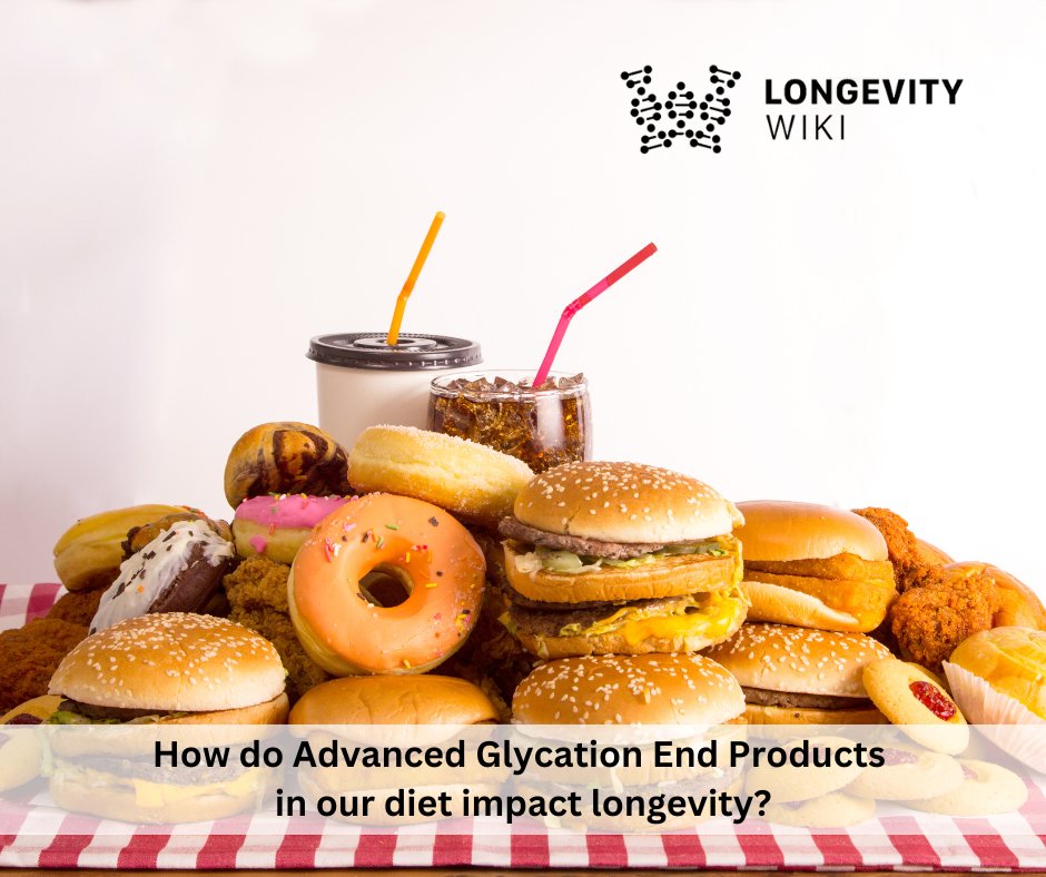 Advanced glycation end products (AGEs), also known as glycotoxins, are harmful oxidant compounds that result from a sugar being added to proteins or fats. Animal-derived food & dry heat for cooking leads t higher production of AGEs. Learn more at: en.longevitywiki.org/wiki/Advanced_… #aging