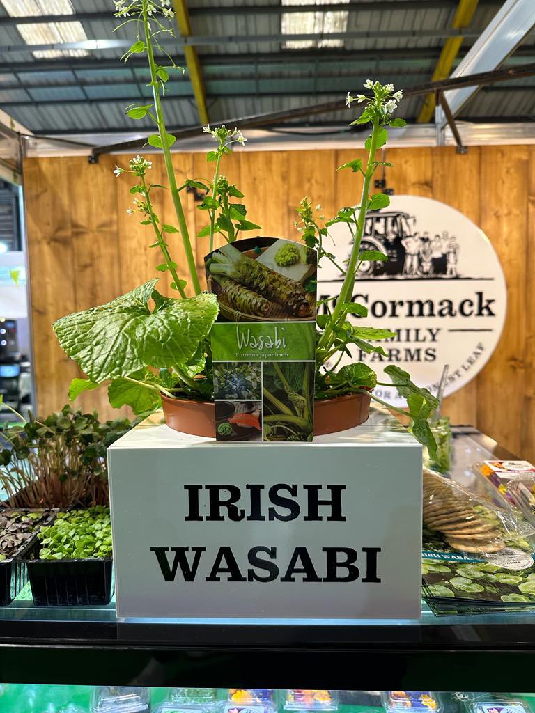 IrishWasabi tweet picture