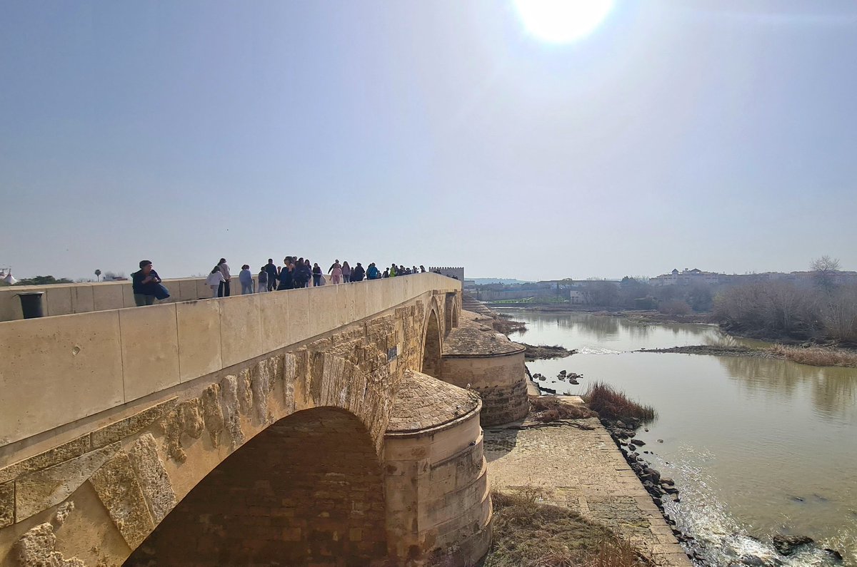 Sergio Manrique tweet media