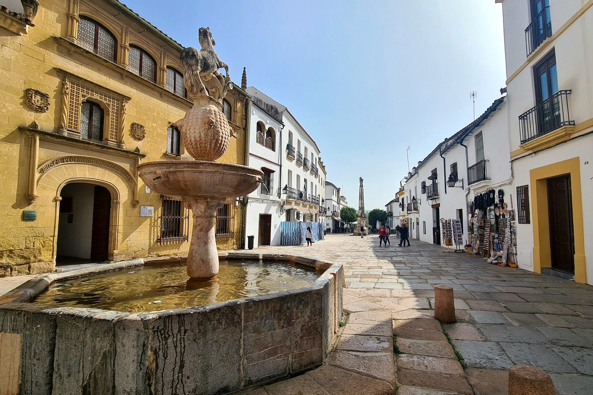 Now in #Cordoba 🇪🇸 for attending #MCAAConf2023 at <a href="/PCongresosCord/">Palacio de Congresos de Córdoba</a>, kicking off tomorrow with <a href="/MarieCurie_Alum/">Marie Curie Alumni Association (MCAA)</a> Board Meeting and Chairs Training &amp; Networking. Glad to represent Andean-Caribbean Chapter and <a href="/RUNINProject/">RUNIN</a> at these days on Science Diplomacy &amp; Sustainable Development!