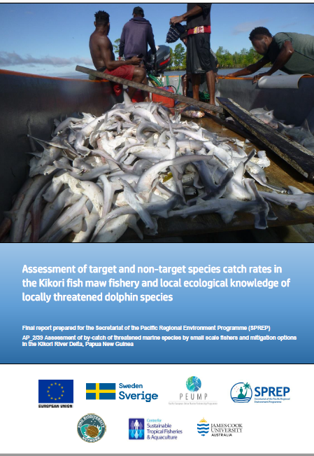 SprepChannel's tweet photo. Understanding rate of #by-catch of #sharks, #rays &amp; #dolphins in gillnets in [PNG]’s #fishmaw fisheries will help improve management. Read more on by-catch in the growing #swimbladder industry, here: https://t.co/Tynwzm6gQ5 
#BIEM #PEUMP #EU #SIDA @EUPasifika  @SwedeninTH https://t.co/hV5dPXpCKD