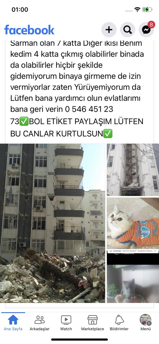 Sahibi yaralı Osmaniye Merkez İstasyon cad Comu plaza B blok kat 3 daire 7
2 kedi kurtarılmayı bekliyor 05464512373 
23 Şubat 01:00 teyidli bilgi 
Binaya sokmuyorlarmış acil yardım
@HAYKON_Official @hacikodernek @osmaniyebel