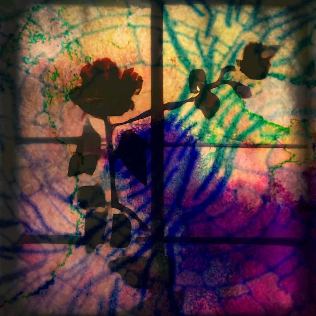 Ryan Belock tweet media