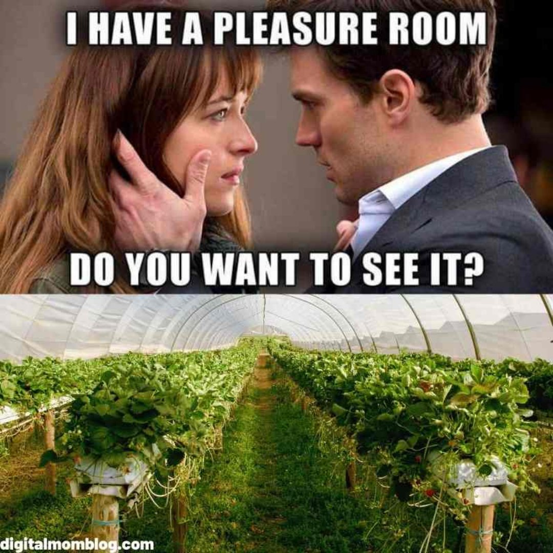 Hell yeah! Lead the way 😏

#FlowersofPot #homeinfluencer #homesweethome