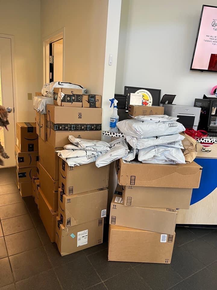 nashvillehumane's tweet photo. #WishListWednesday THANK YOU‼️We sent out an emergency SOS. There were no Bath Towels at NHA. Now Look! Nashville (and beyond) came through! We are so very grateful &amp; humbled by your continued support. Our bins are FULL! (With more boxes in our lobby to unpack!) So Very Amazing! https://t.co/BOGYJZI2JB
