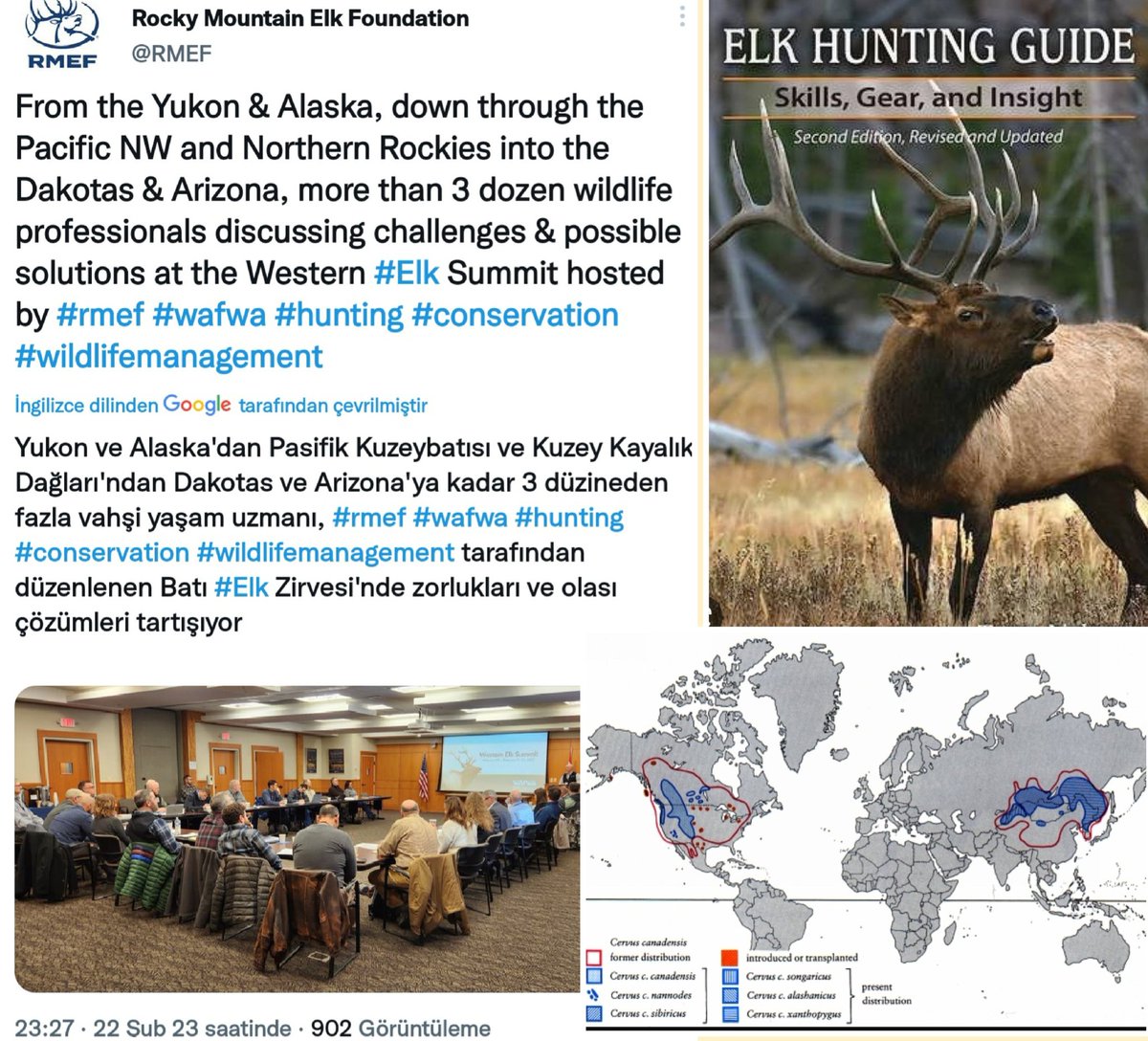 🌙🐾ABD'de, #GeyikAvı ve Yönetimi için, yaklaşık 40 #YabanHayatı Uzmanı kafa yoruyor. Yani, bizdeki ucube #MerkezAvKomisyonu nun olması gereken hali.
🌙🐾ABD'liler Elk, Amerika'nın sahibi Kızılderili'ler Wapiti, bizdeki çevirmenler Kanada geyiği, biz ise Türkistan Geyiği diyoruz.