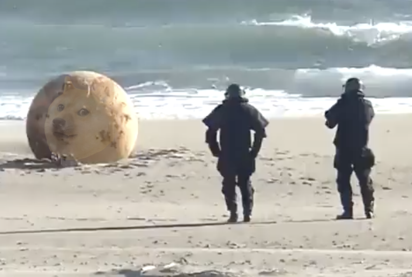 💸💸💸 (@itsallrisky) on Twitter photo 