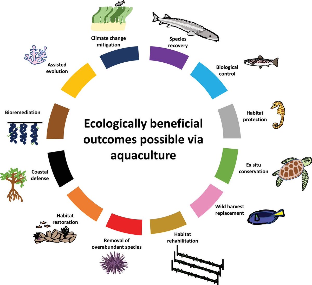 Achieving conservation and restoration outcomes through ecologically beneficial aquaculture

-Check out this new research by Tim Dempster and colleagues 
<a href="/LukeBarrettSci/">Luke Barrett</a> 
#aquaculture #conservation #restoration #recovery 

➡️doi.org/10.1111/cobi.1…