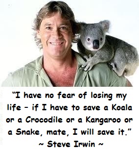#SteveIrwin 🐊 🇦🇺

“I have no fear of losing my life – if I have to save a Koala or a Crocodile or a Kangaroo or a Snake, mate, I will save it.” ~ Steve Irwin.