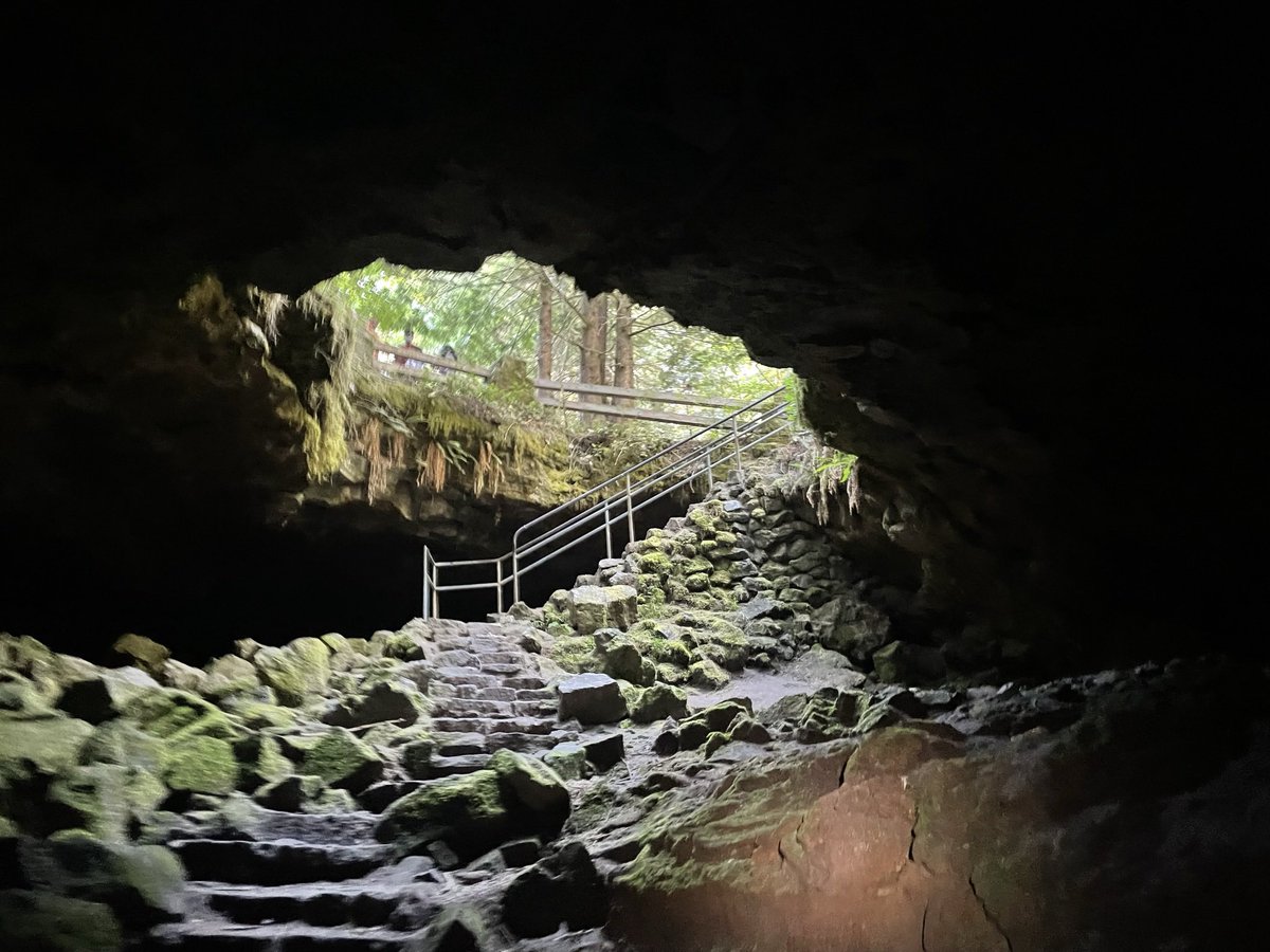 I finally found my way out of the cave I fell into back in 2019. What have I missed?