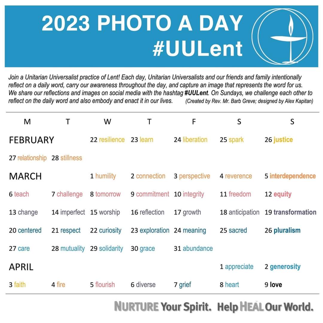 DebWNJ's tweet photo. This year, I'm participating in the #UULent challenge, where we reflect on a different word each day, and also take a photo that we think represents that word.
Today's word is #resilience, and these daffodils return year after year, without any help from me. https://t.co/PR5BX0JirB