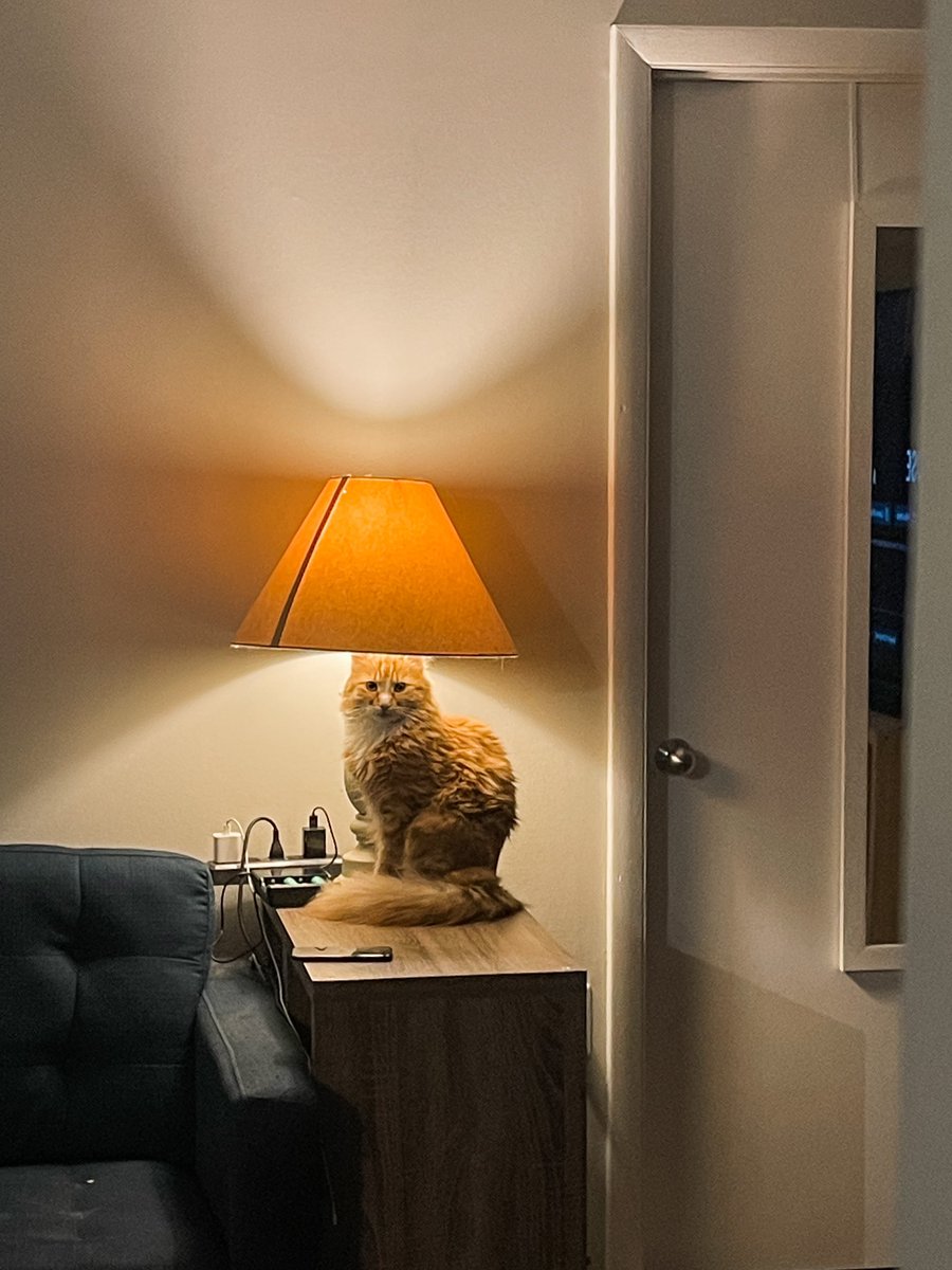 clave cuthbert tweet media