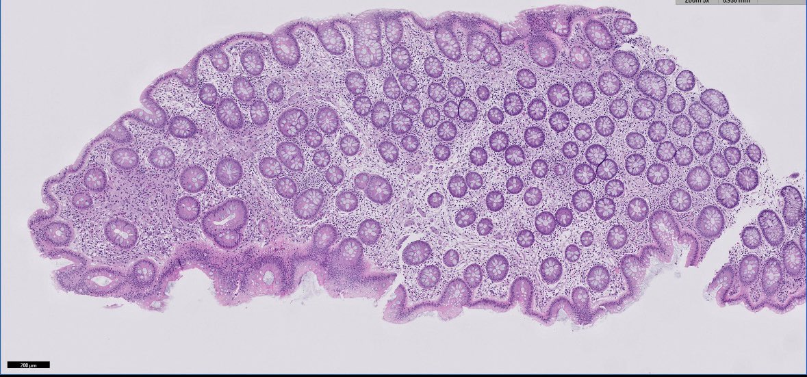 OhioStatePath's tweet photo. #Pathnewbies #Pathresidents
What do you ๐?
#PathTwitter #GIPath https://t.co/pmL6awbNEw