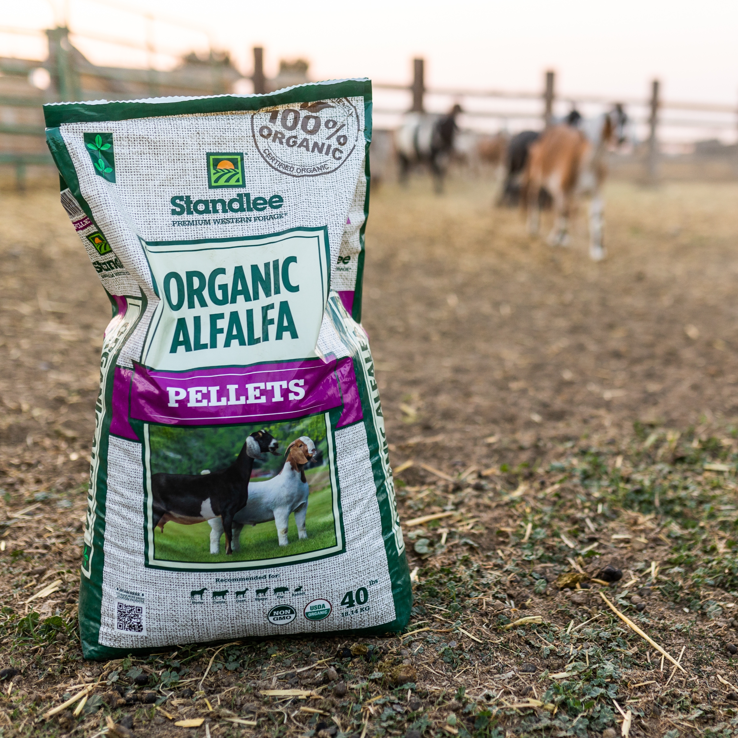 Alfalfa Pellets Organic livestock feed certified