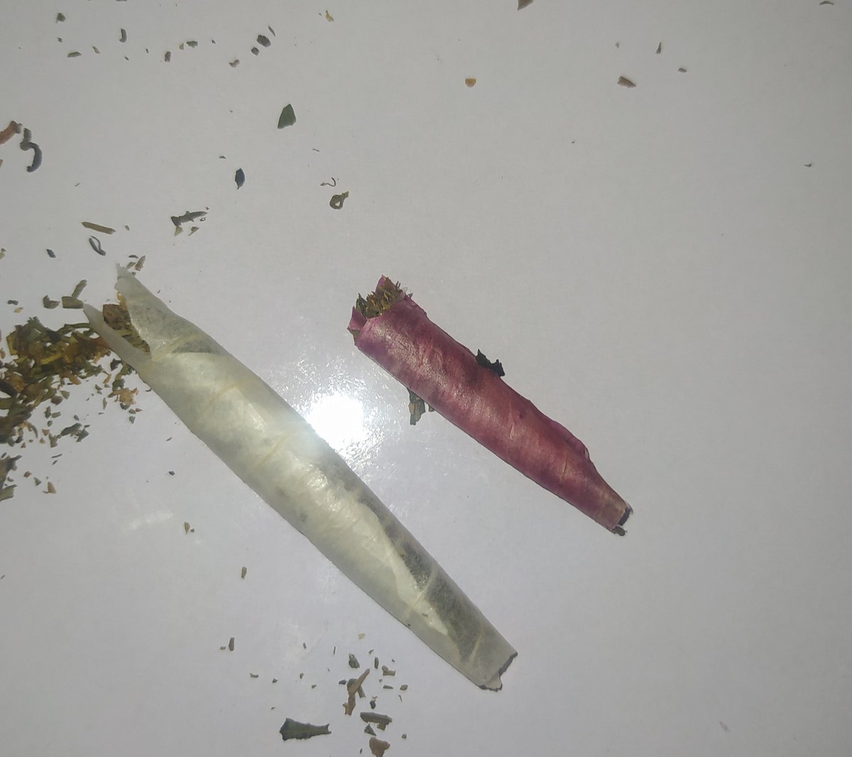 TMC_Magazine's tweet photo. Out of rolling papers? 

Onion skin joints?

Thank you 😍

#CannabisCommunity #Mmemberville https://t.co/WODvFqmmyT
