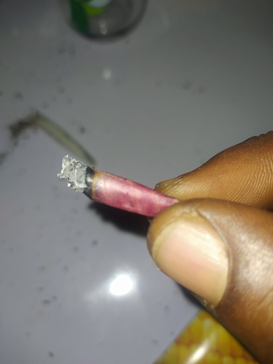 TMC_Magazine's tweet photo. Out of rolling papers? 

Onion skin joints?

Thank you 😍

#CannabisCommunity #Mmemberville https://t.co/WODvFqmmyT