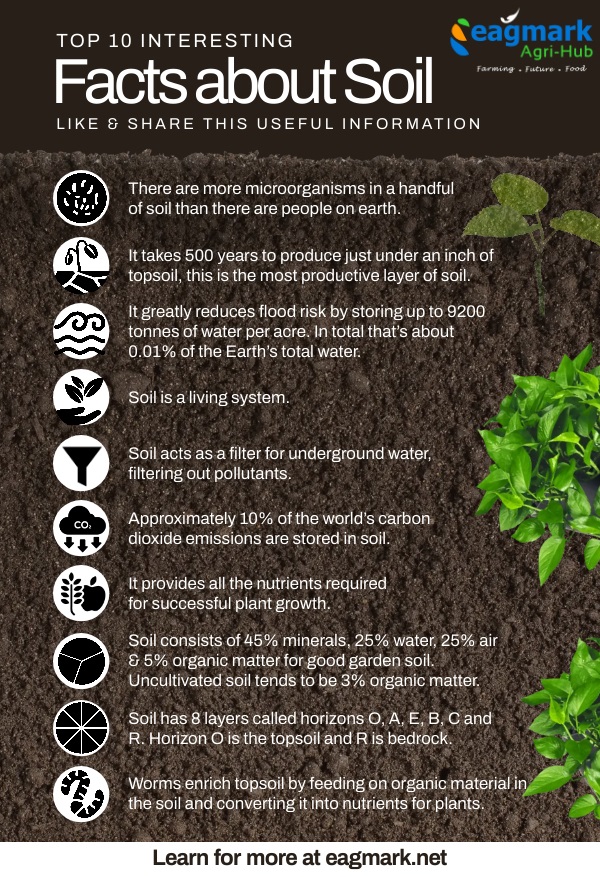 Soil is a complex & dynamic ecosystem that is critical for sustaining life on earth. Take a moment to appreciate the soil beneath your feet & the vital role it plays in our world. 🌱🌍💧🐛
#SoilFacts #Ecosystem #Sustainability #Biodiversity #SoilBacteria #SoilFormation #SoilTypes