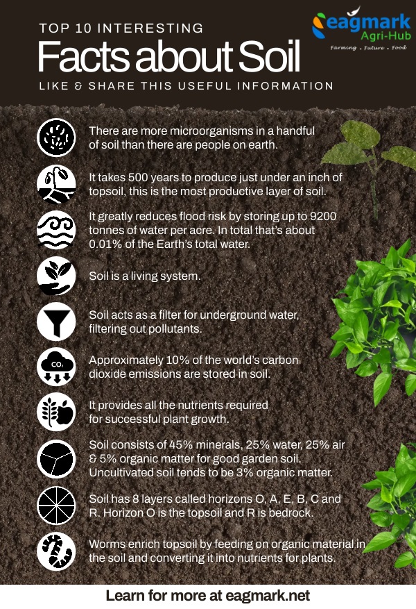 Eagmark_AgriHub's tweet photo. Soil is a complex & dynamic ecosystem that is critical for sustaining life on earth. Take a moment to appreciate the soil beneath your feet & the vital role it plays in our world. 🌱🌍💧🐛
#SoilFacts #Ecosystem #Sustainability #Biodiversity #SoilBacteria #SoilFormation #SoilTypes https://t.co/JObfRAkoxE