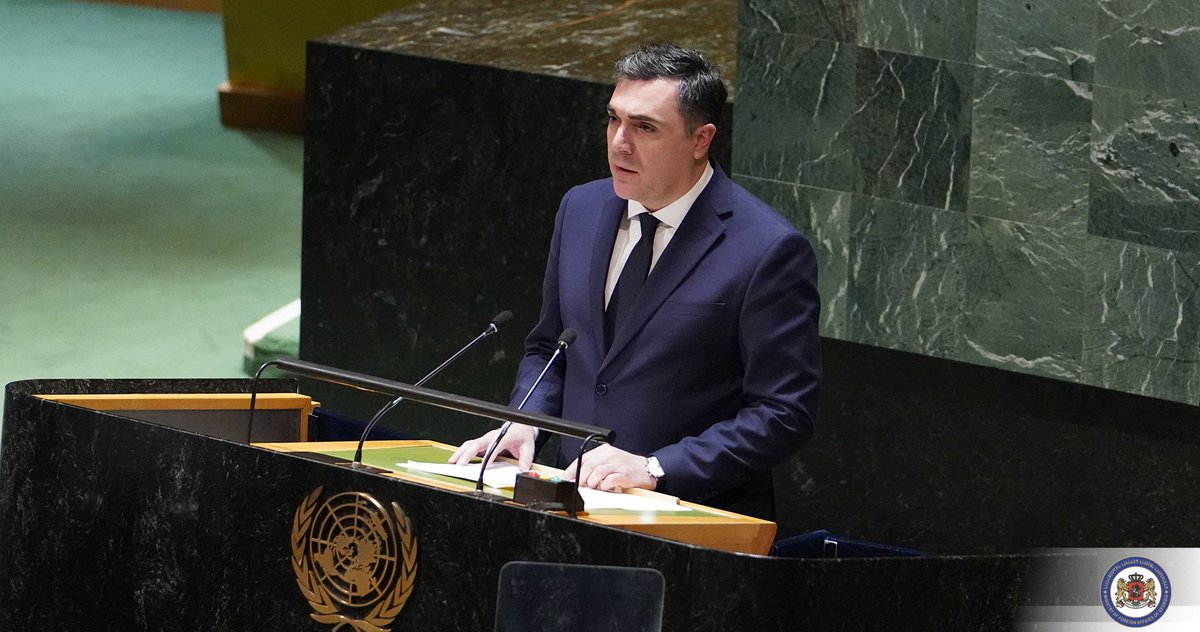 iliadarch's tweet photo. Had an opportunity to take the stage at the 11th emergency special session of the UNGA. I once again reiterated 🇬🇪's firm support for 🇺🇦's sovereignty and territorial integrity. Adherence to international principles is essential for world peace. https://t.co/8SzW04vjuO