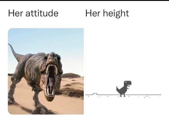 Short girls #FTW #FiveTwo 🦖
