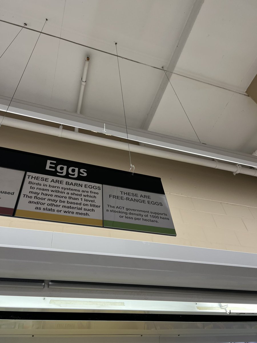 johnpauldromano's tweet photo. Seems to be a discrepancy here - #freerange guidelines from the @actgovernment say 1500 hens per hectare but #Coles “free range” eggs could be almost seven times higher at 10,000 hens per hectare… @ShaneRattenbury #actpol https://t.co/O9WX3Gv9zP