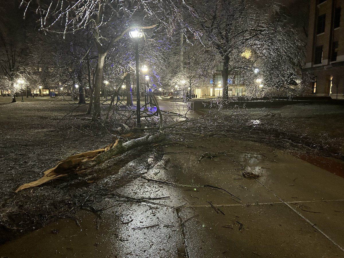 SEMichigan_Wx's tweet photo. Large tree limbs down across the Diag/Central Campus @UMich @NWSDetroit  #miwx https://t.co/sVk46RurcH