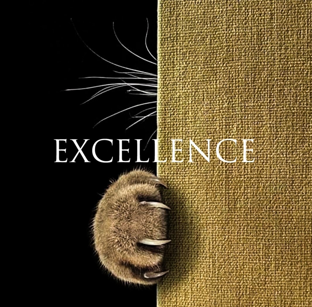 #theartofexcellence.nft
IG:theexcellenceclothing