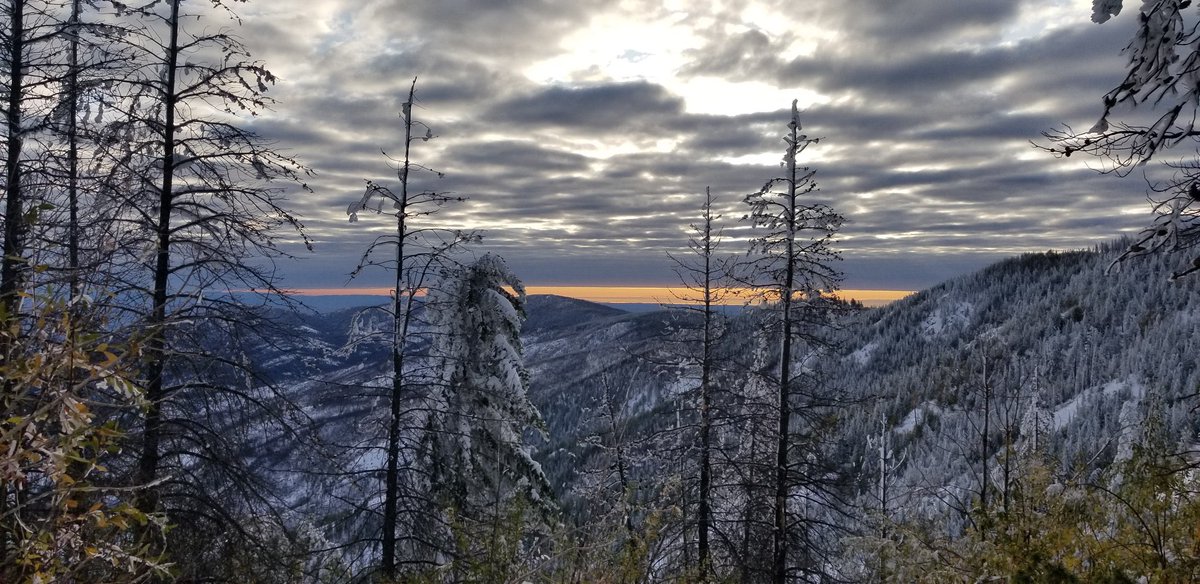 ForestServiceNW's tweet photo. "Study nature, love nature, stay close to nature. It will never fail you." 

—Frank Lloyd Wright https://t.co/FHfHfU4d1O