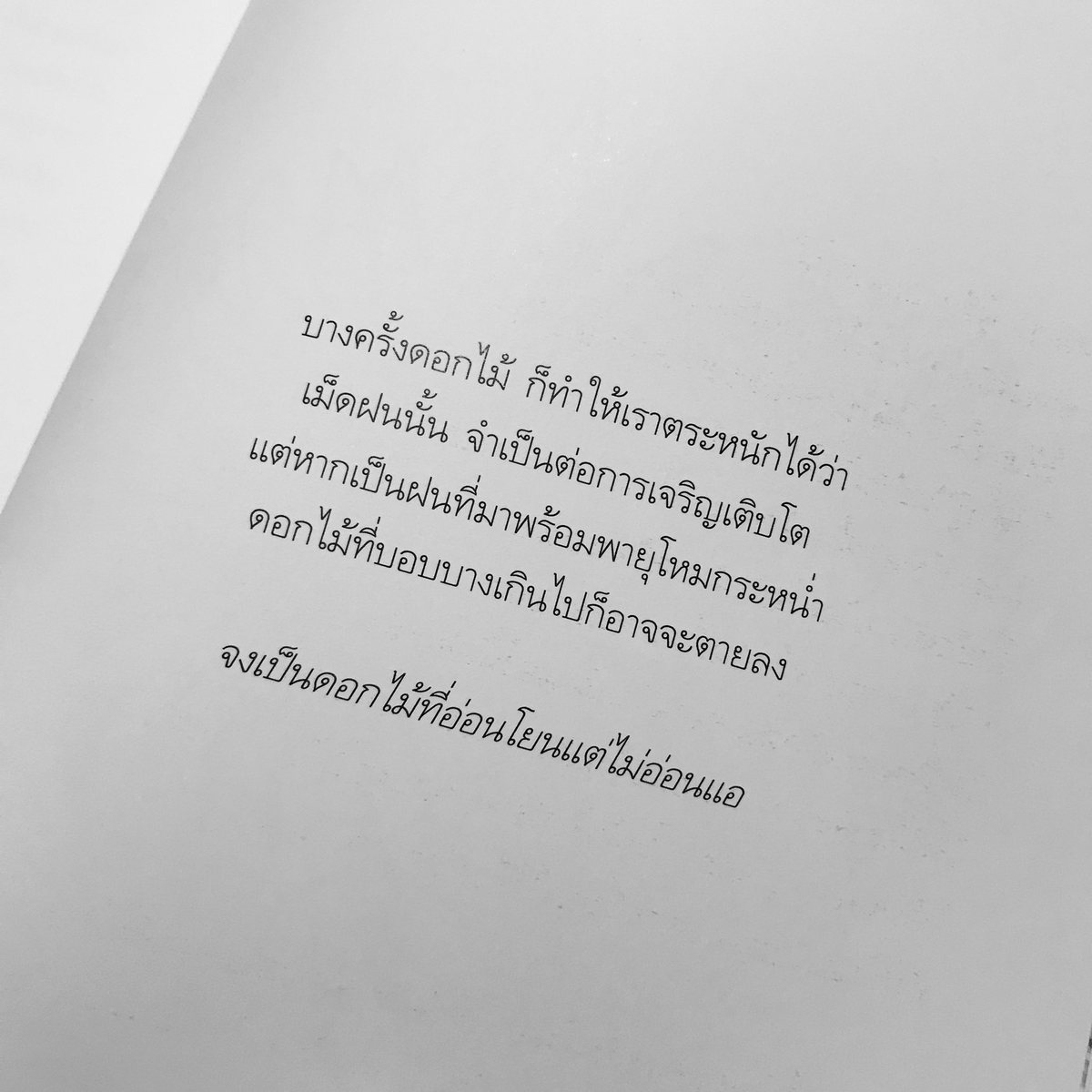 klinnangsue's tweet photo. "จงเป็นดอกไม้ที่อ่อนโยนแต่ไม่อ่อนแอ"

เปิด Pre-Order #อยากส่งดอกไม้ให้คุณ 🌻

หนังสือที่รวมรูปวาดและความหมายของดอกไม้เอาไว้ มีทั้งข้อคิด คำให้กำลังใจ คำเตือนสิ ใครได้อ่านจะต้องยิ้มและรู้สึกดีได้แน่นอน เป็นการปลอบโยนและฮีลใจได้ดีมากค่า 🙂 https://t.co/reFLN2zOiA