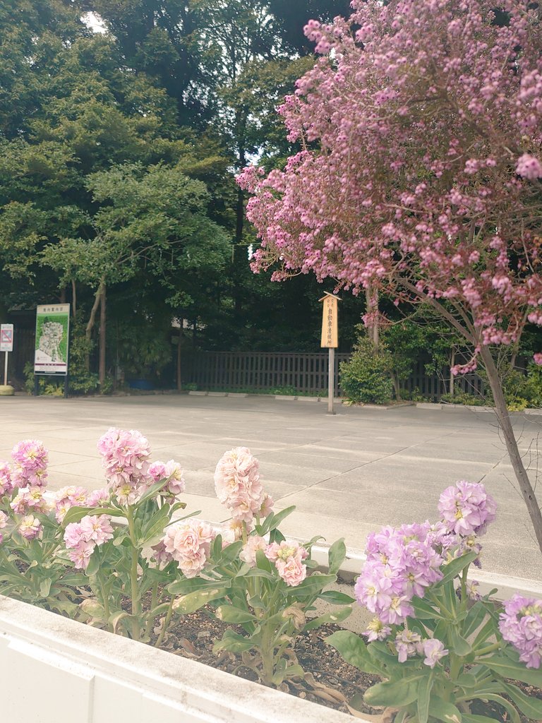 John45748358's tweet photo. ご無沙汰してます…🐰

ご近所の神社へ
可愛い子発見🧸🐰 https://t.co/oeLm4WBHqm