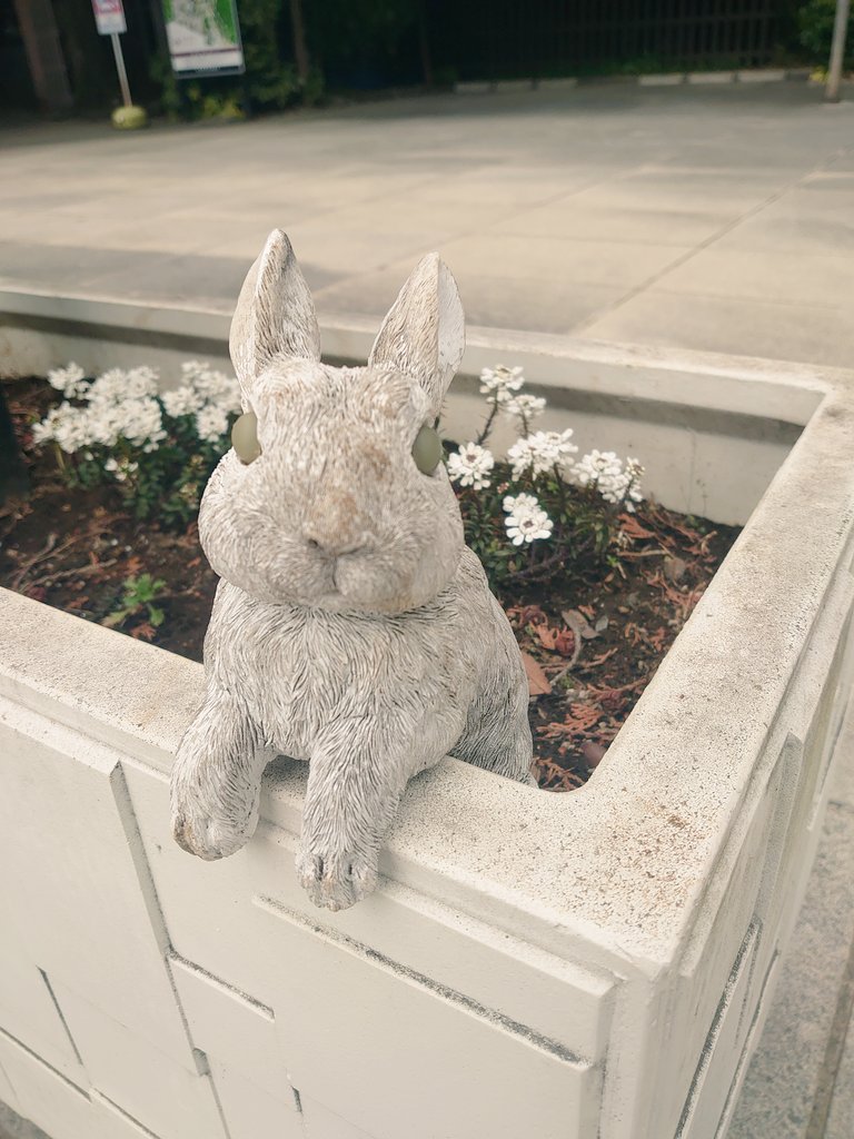 John45748358's tweet photo. ご無沙汰してます…🐰

ご近所の神社へ
可愛い子発見🧸🐰 https://t.co/oeLm4WBHqm