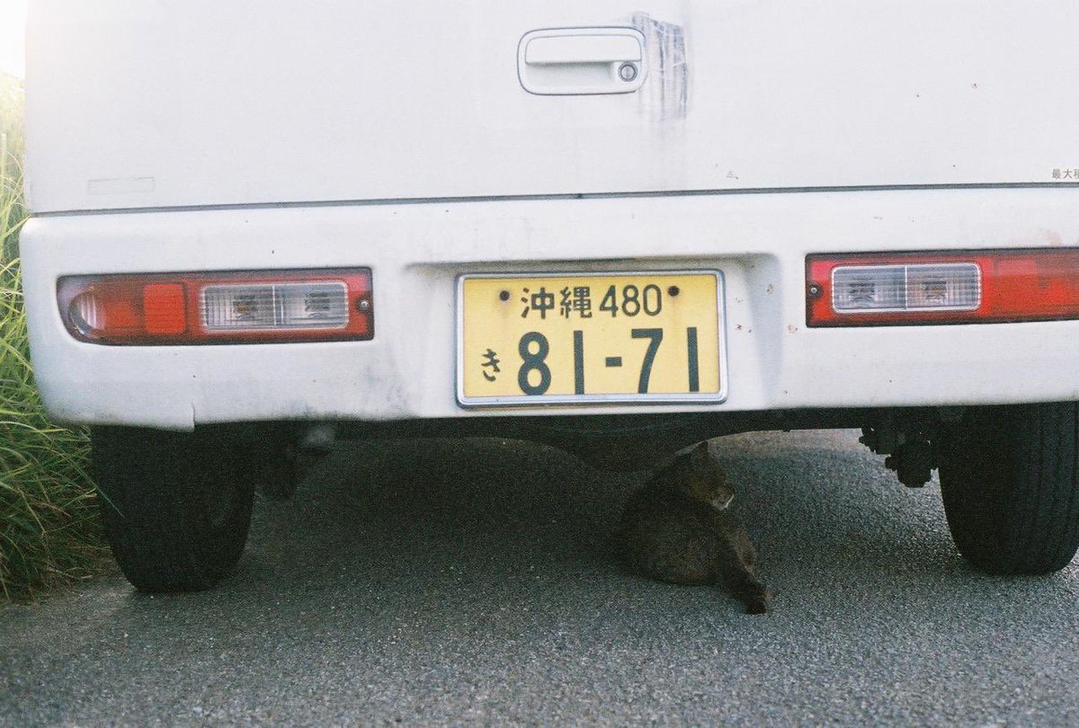 naaaaaanko's tweet photo. 沖縄猫レポート🐈🐈‍⬛🐈🐈‍⬛
(1日遅れたけど)

#2月22日 
#猫の日
#ネコの日 
#猫のいるしあわせ 
#猫のいる生活 
#猫のいる暮ら��� https://t.co/H8DHMLbtqw