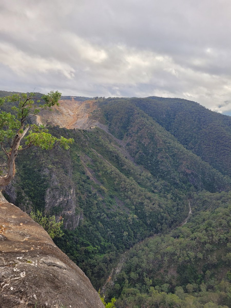 meeladavis's tweet photo. Bungonia https://t.co/dk5X1kTATg