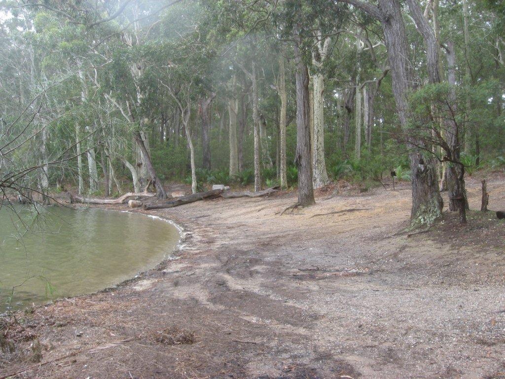 TheFODGroup's tweet photo. Before and after photographs. Impressive Durras Lake shoreline rehabilitation project. You cannot have a health coastal lake without a healthy catchment. Think globally act locally. https://t.co/iEKYd4gijM