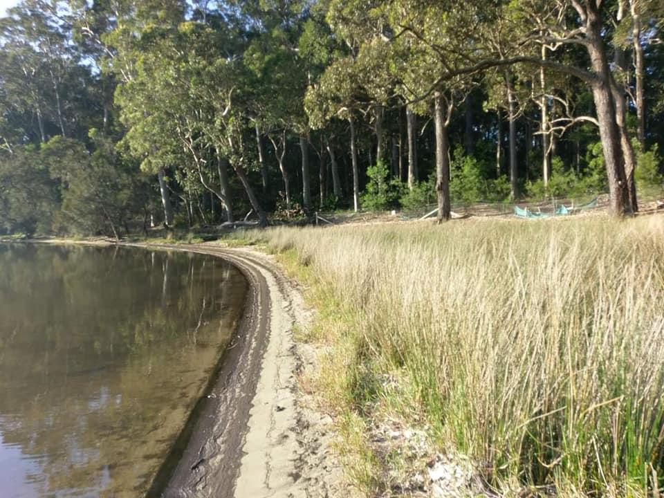 TheFODGroup's tweet photo. Before and after photographs. Impressive Durras Lake shoreline rehabilitation project. You cannot have a health coastal lake without a healthy catchment. Think globally act locally. https://t.co/iEKYd4gijM