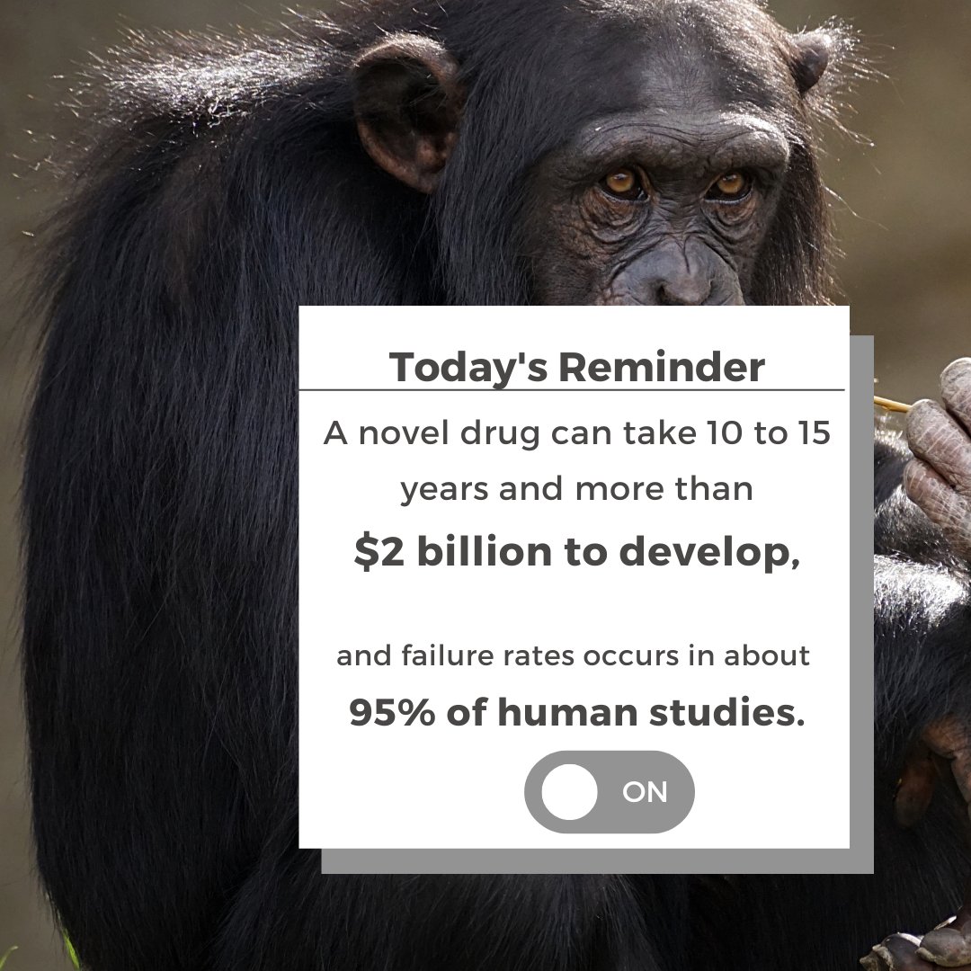 HumaneActionPA's tweet image. #FDAModernizationAct #SayNoToAnimalTesting