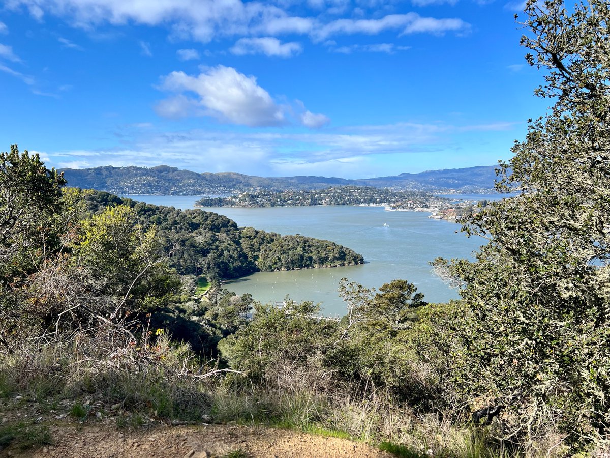 NightDragon tweet media