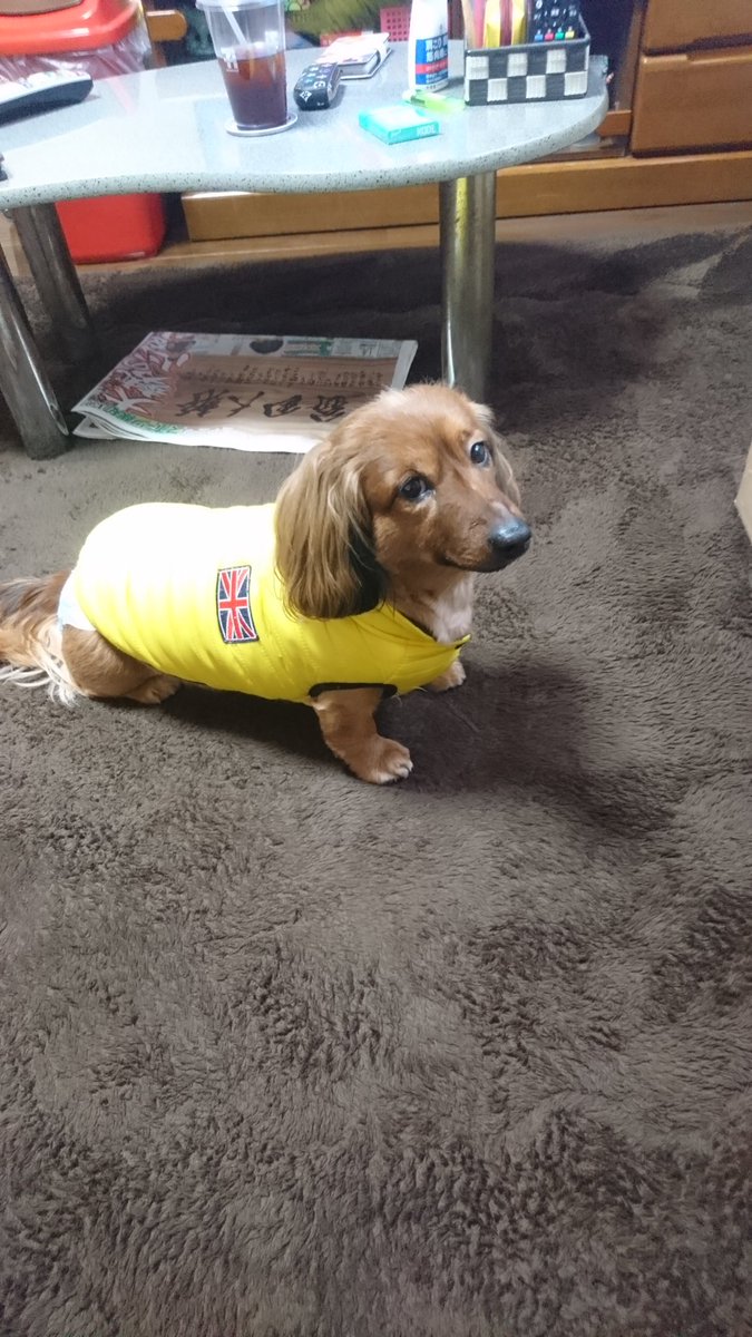 ⭐︎ミヤル⭐︎ 商品一覧 | あみにゃみ 海外ガレージキット＆スタチュー