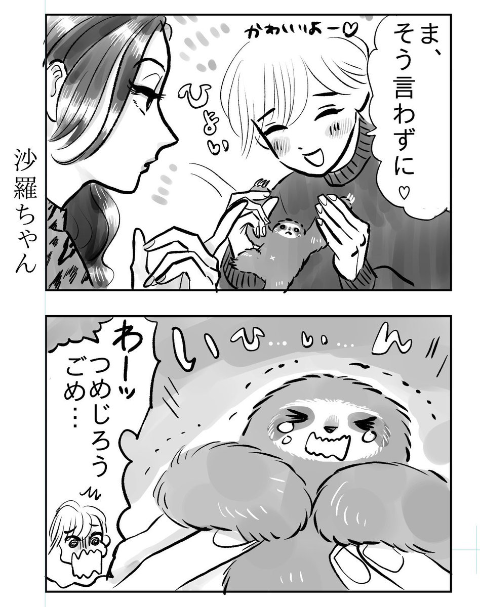 ナマケモノの赤ちゃんと人間の浅知恵 