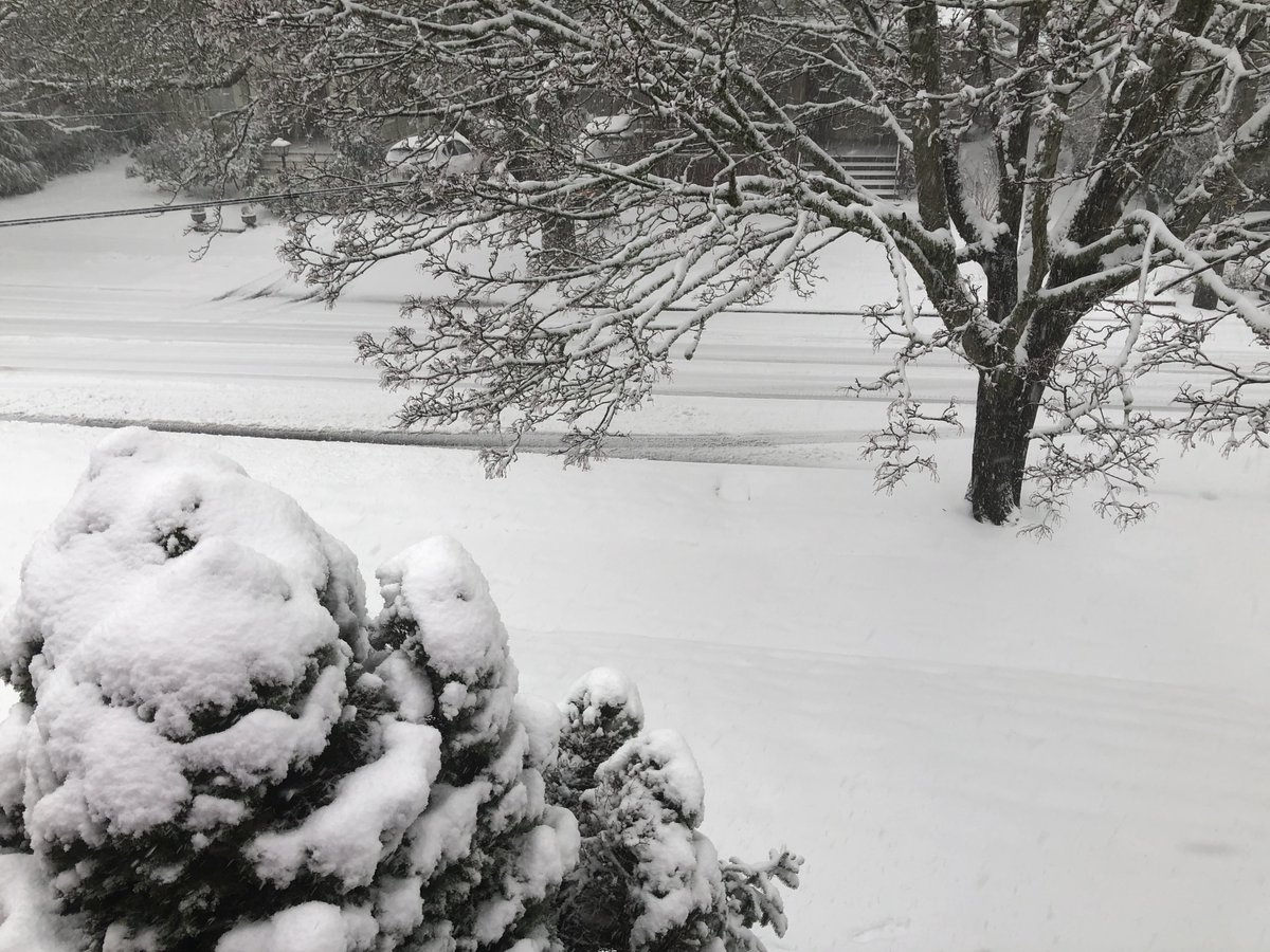 Kristiturnquist's tweet image. I am officially over snow in February. #pdxtst