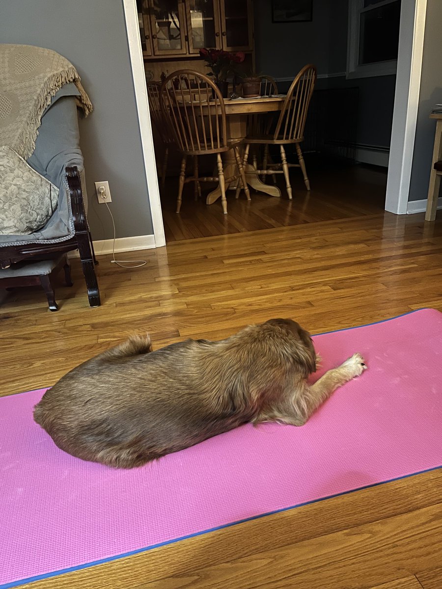 Sarah Wilbur tweet media