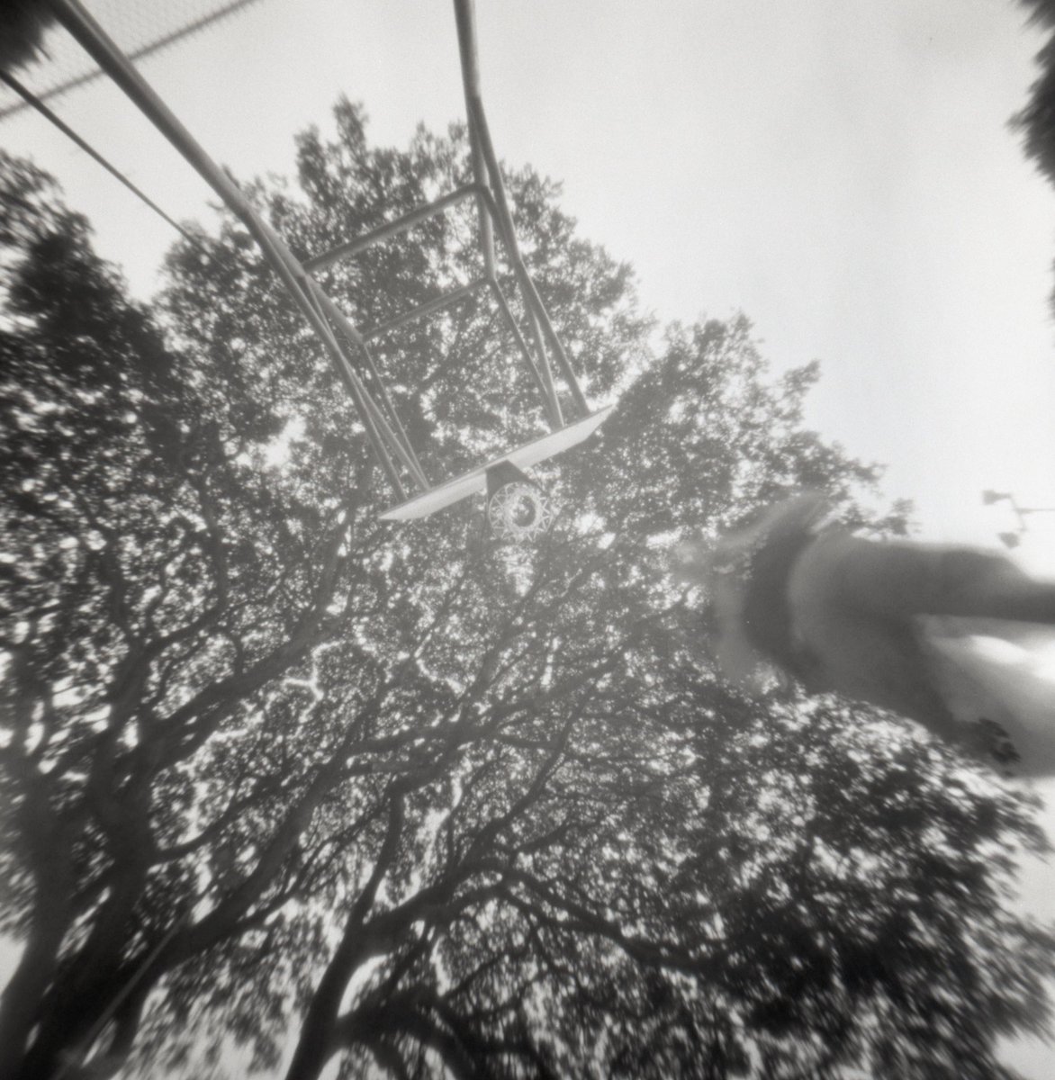 3eyedmonster's tweet photo. Hoop *UP series #pinhole #believeinfilm #realitysosubtle #fomapan https://t.co/VzjP0nWoI4