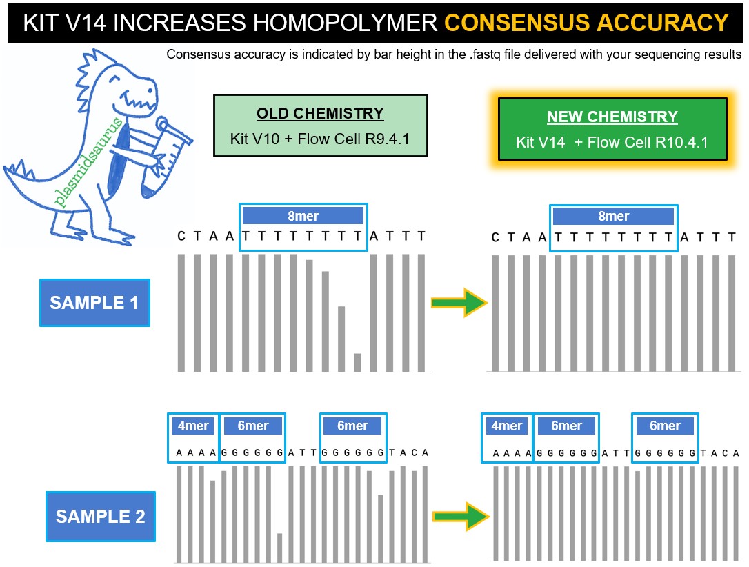 plasmidsaurus (@plasmidsaurus) on Twitter photo Good news everyone! ALL of our services are now being run on the newest <a href="/nanopore/">Oxford Nanopore</a> V14 chemistry with 99.6% raw read accuracy! We compared the new V14 data against previous chemistry data for the same samples and found greatly improved performance in homopolymers, check it out 🥳 Good news everyone! ALL of our services are now being run on the newest <a href="/nanopore/">Oxford Nanopore</a> V14 chemistry with 99.6% raw read accuracy! We compared the new V14 data against previous chemistry data for the same samples and found greatly improved performance in homopolymers, check it out 🥳