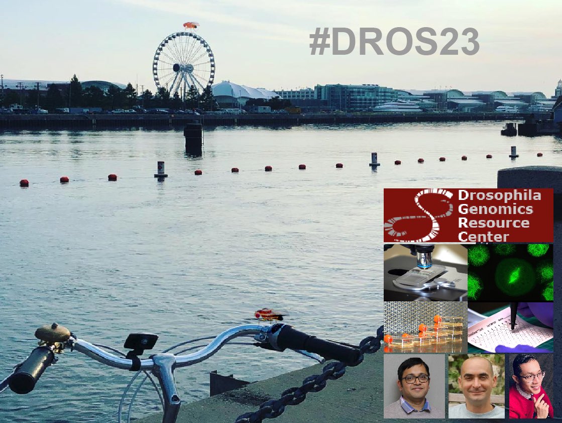 aluhur's tweet photo. Getting ready for #dros23 DGRC will be at booth 104. https://t.co/0NqX7YPhPg