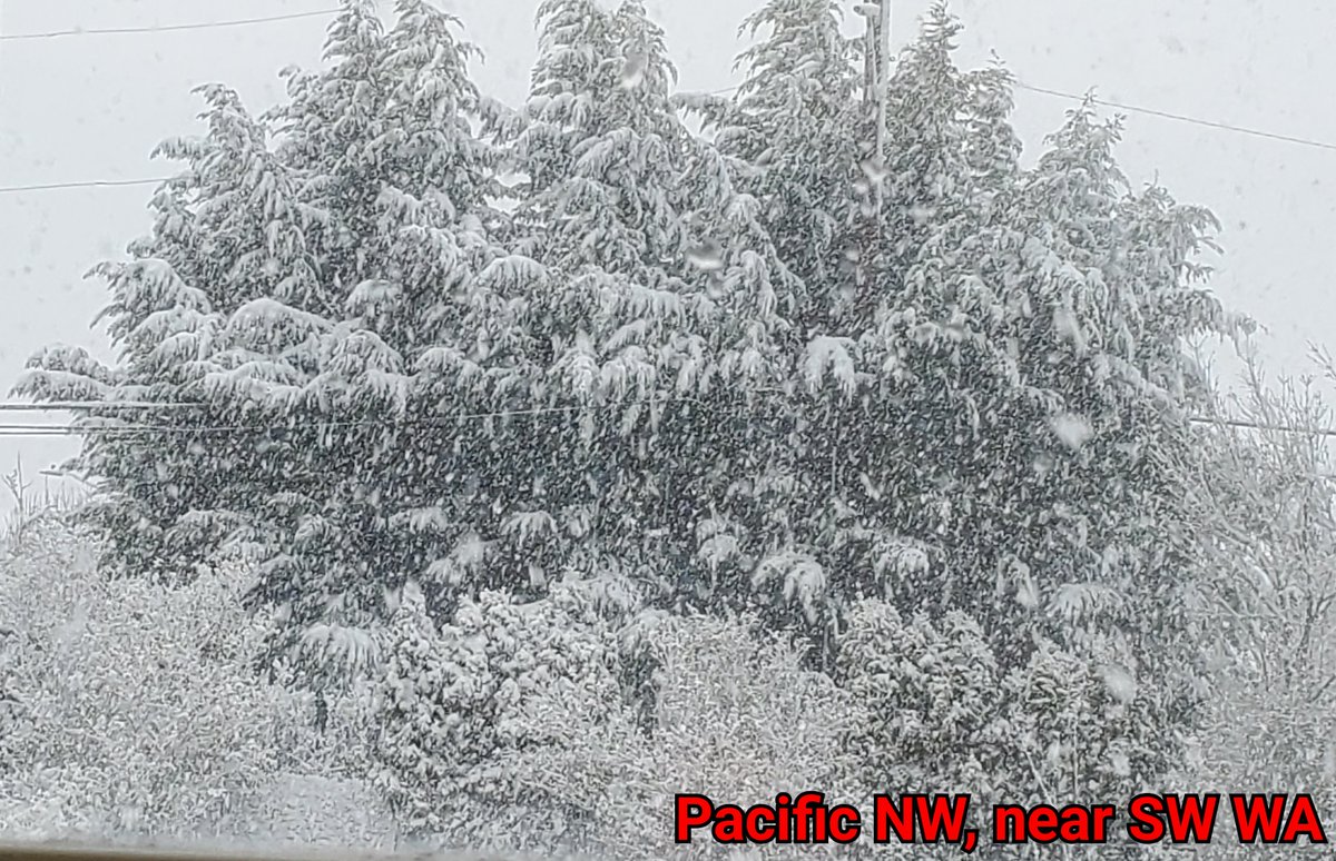 StormWarningMom's tweet image. #pdxtst it's been like this all day. We have at least 3"