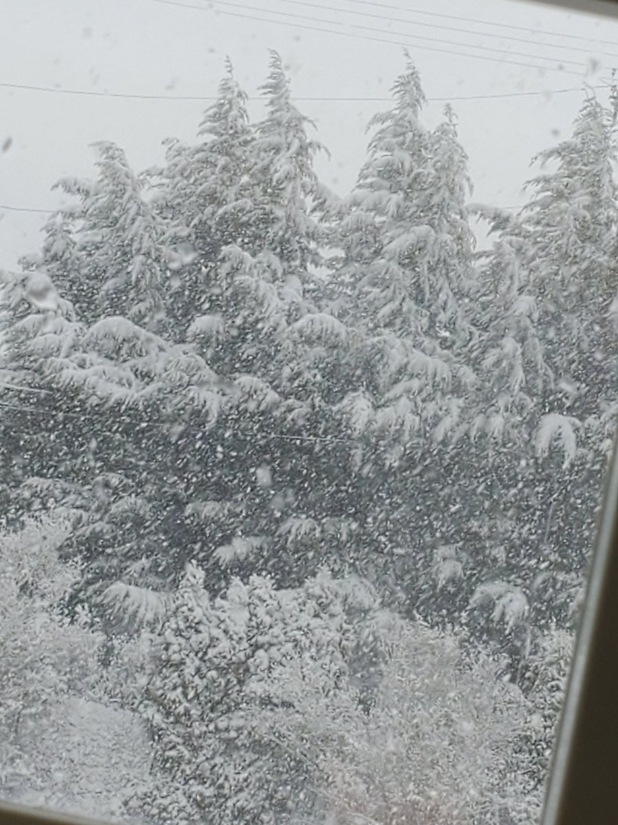 StormWarningMom's tweet image. #pdxtst it's been like this all day. We have at least 3"